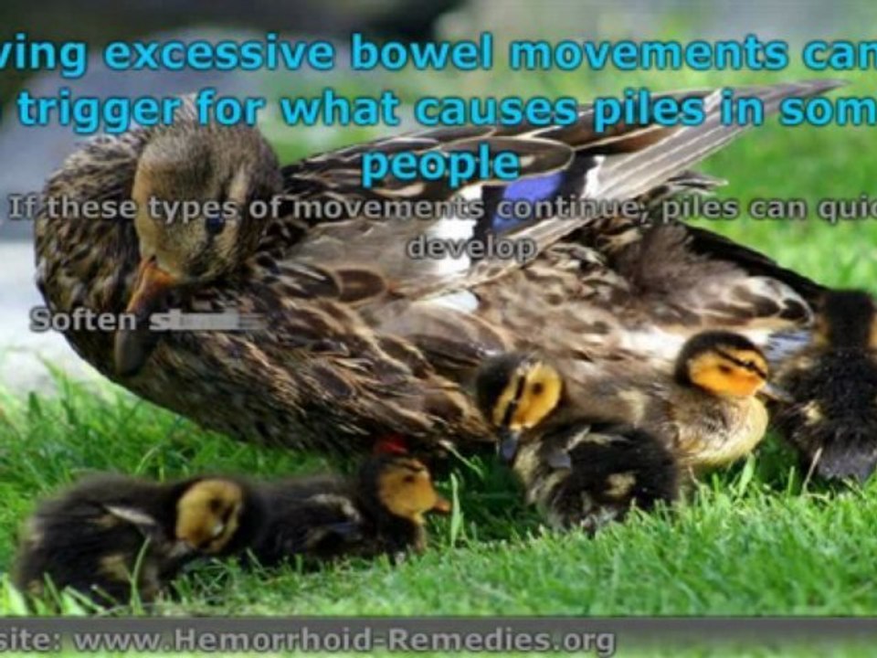 What Causes Piles?