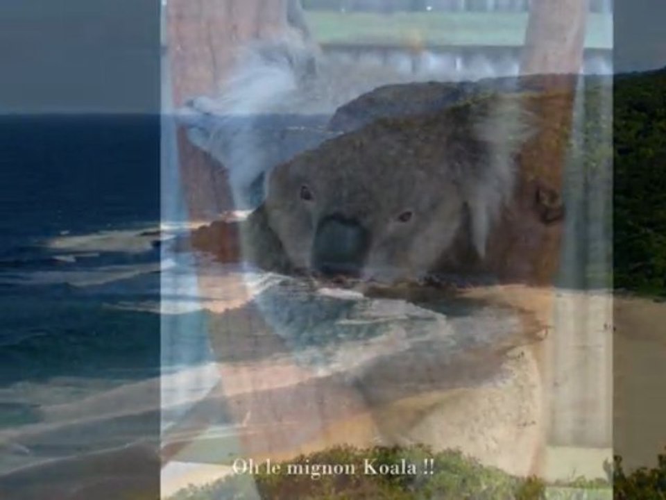 NSW & VIC australian road trip 2008