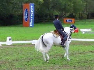 Golegã 2009 - Equitaçao Portuguesa (7)