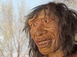 Diaporama Musée Evolution de l'Homme