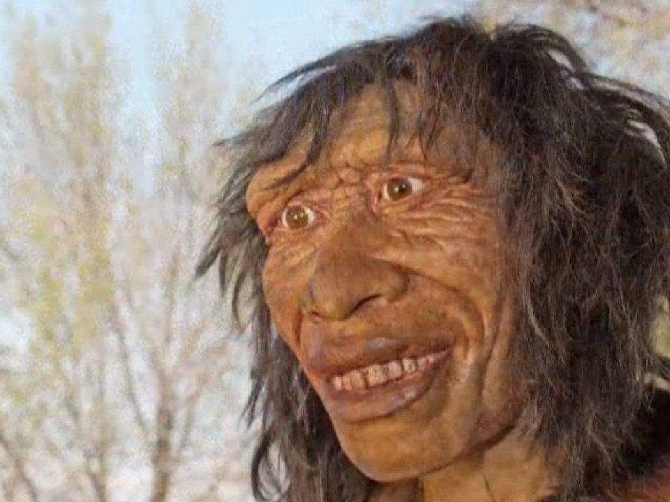 Diaporama Musée Evolution de l'Homme