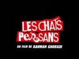 Les chats persans de Bahman Ghobadi