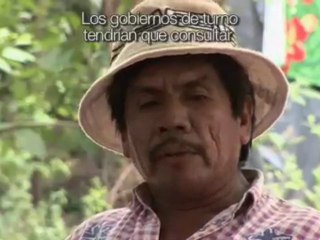 Nuestras tierras. Wichis