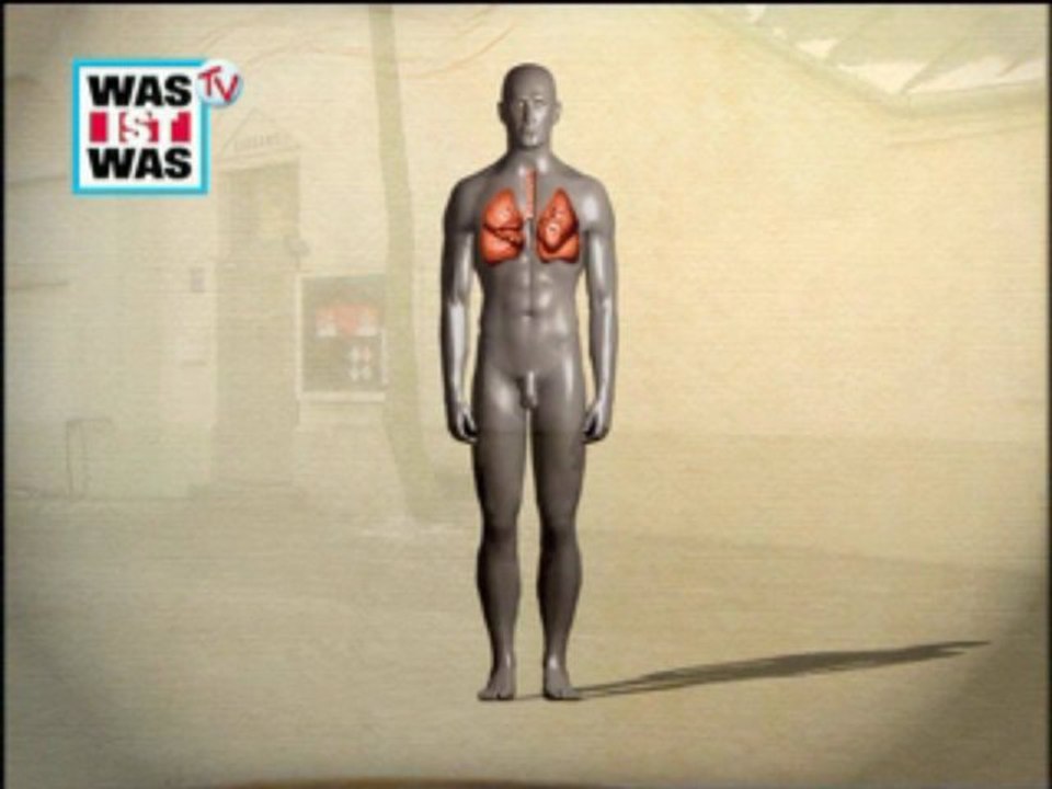 WAS IST WAS- TV Unser Körper und Gehirn