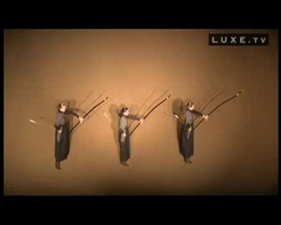 L'académie du spectacle équestre à Versailles