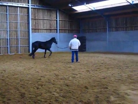 vidéo ulys cours ben 002