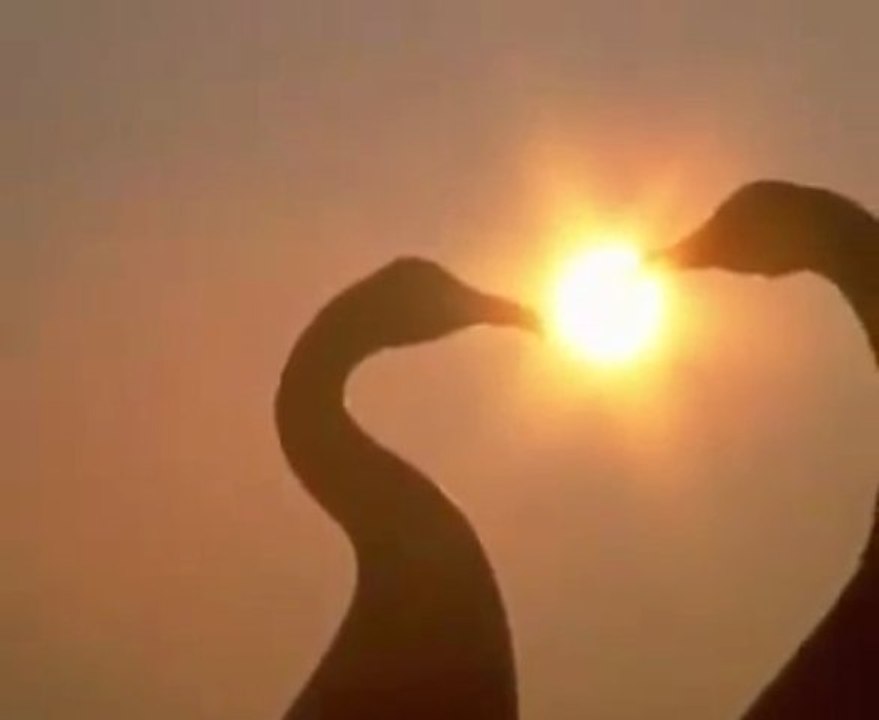 Can Yücel - Seninle Olmanin En Güzel Yani Ne Biliyor musun