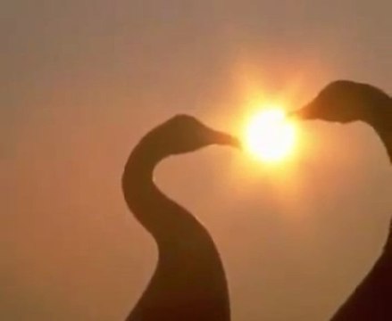 Can Yücel - Seninle Olmanin En Güzel Yani Ne Biliyor musun