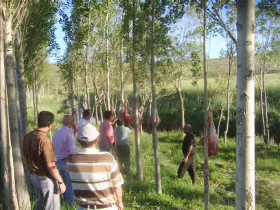 ÖmerAğalılar4.AkpınarYaylaŞenlikleri-4 , cennetpınar,