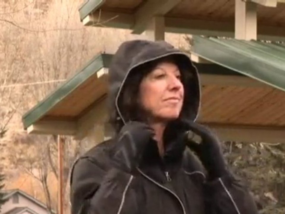 Let's Go Designs - Dog Walking Utility Jacket