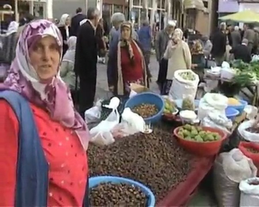 Çatalzeytin