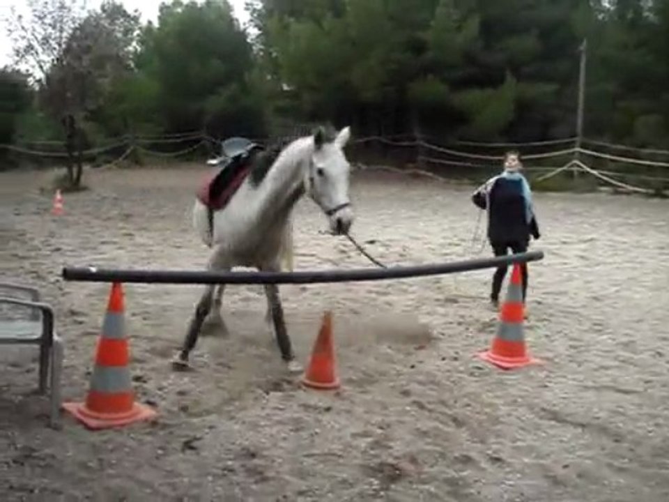 Kilga <3