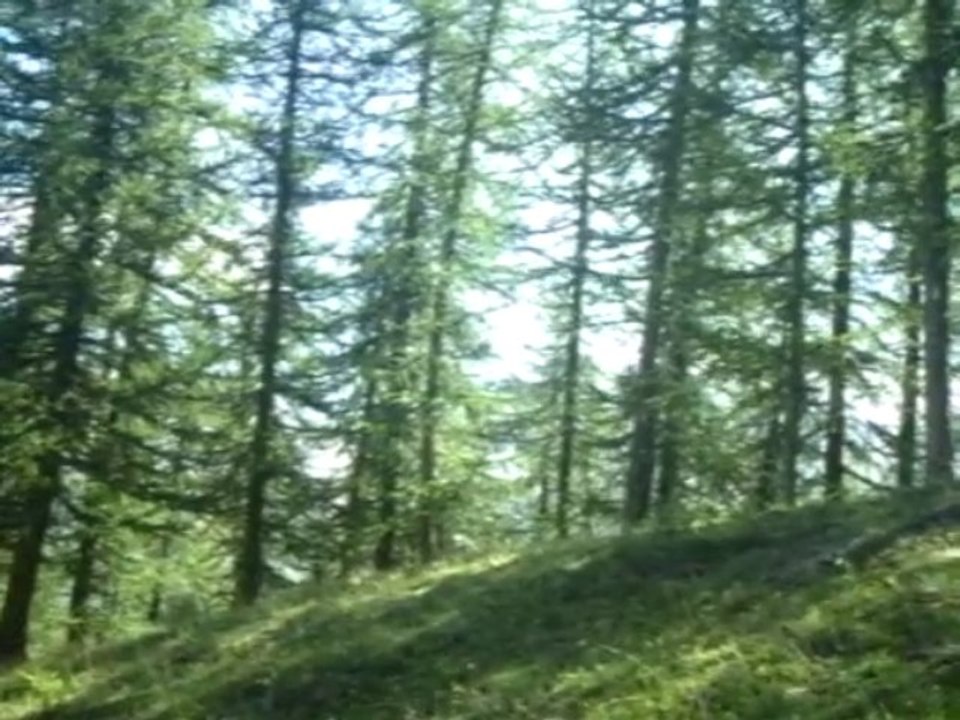 Le Parc national des Écrins