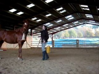 Séance de plat & à pied 18.11.09