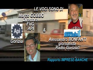 VIDEOINTERVISTE RG1-marco gobbo dir. API FVG-2 parte
