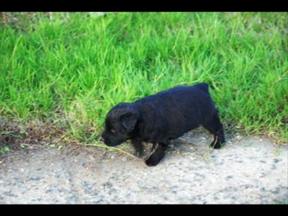 les bébés ont un mois