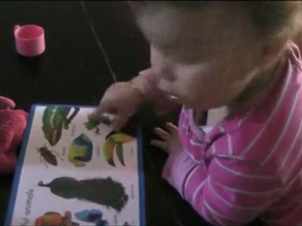 Le livre