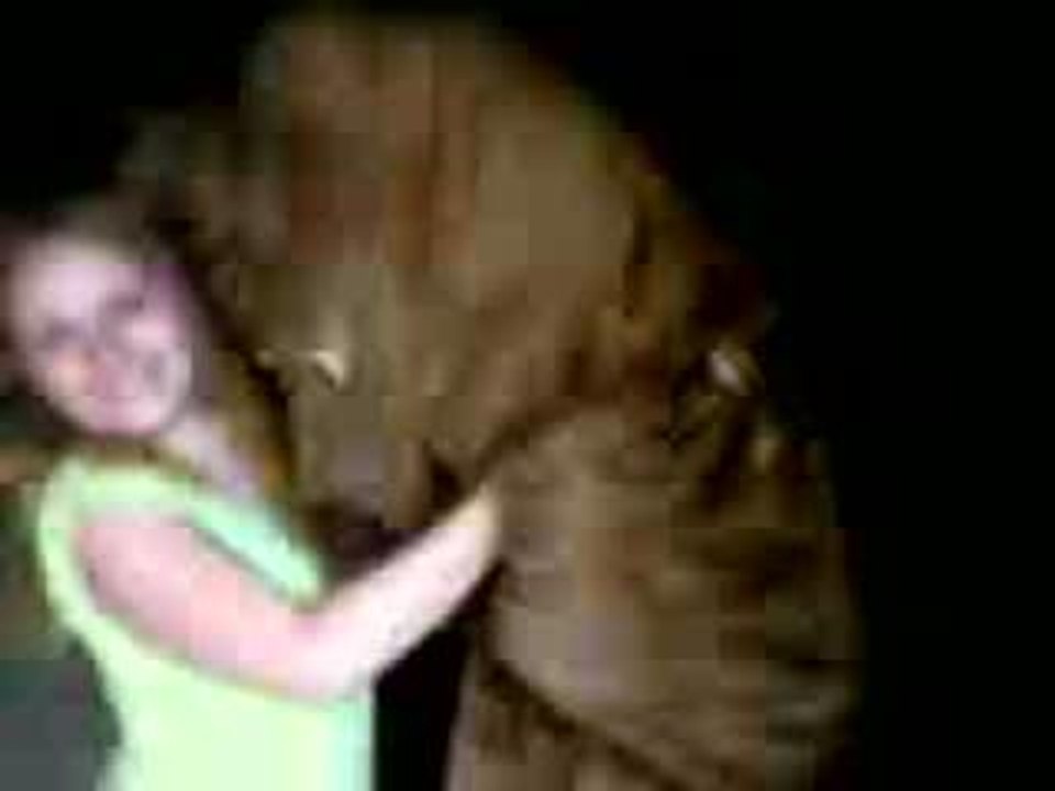 L'ours des Pyrénées déjà à Foix !