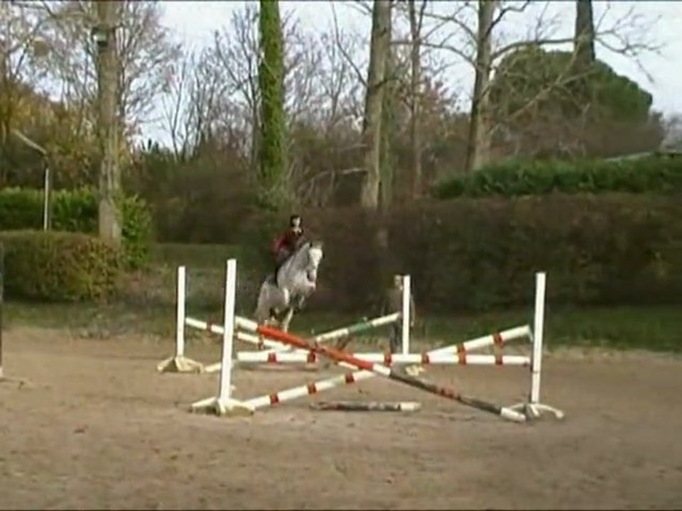 Jeunes cavaliers: Le Celte à l'obstacle