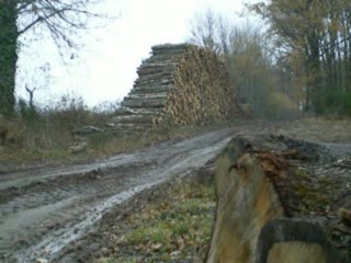 moi avec ma yz 125 de 1999