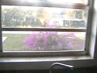 Investor Special in Plant City, FL!!! 3/2 Cheap!!!