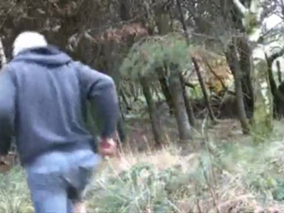 Run with the Wolves competition video for The Prodigy