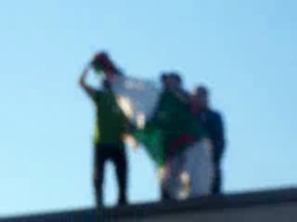 Montréal en fête - Algérie au Mondial 2010