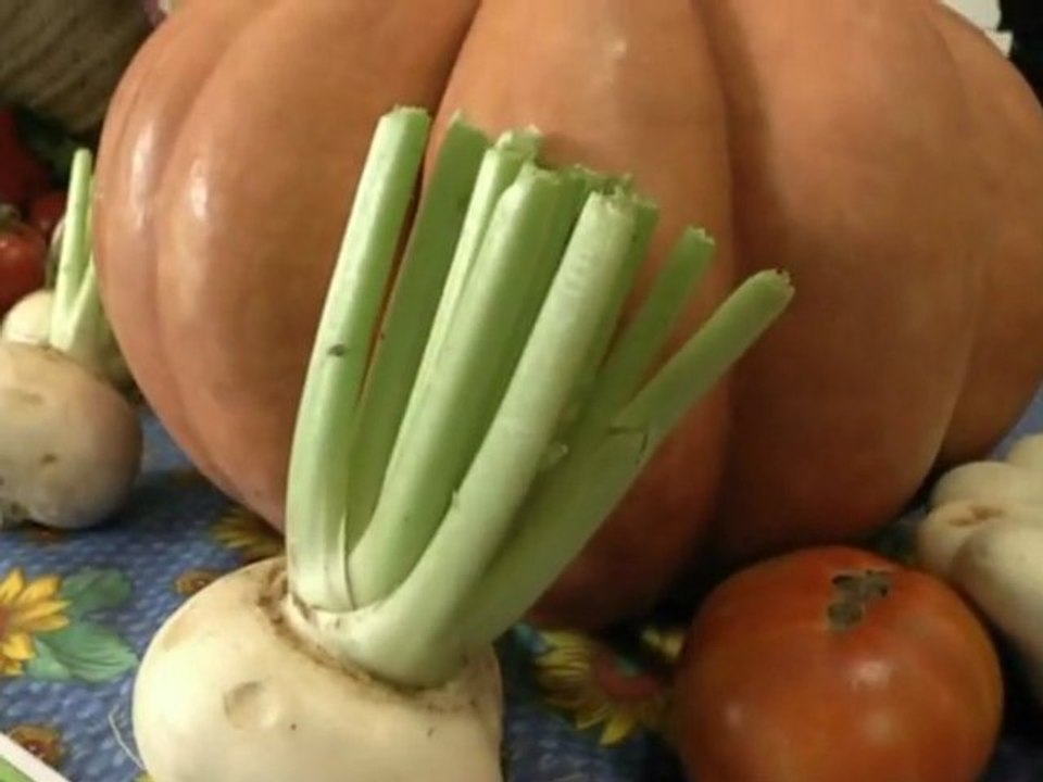 marche_bio_marignane