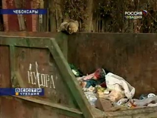 За чистоту придется платить