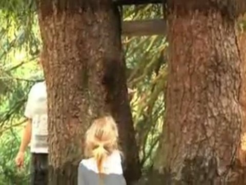 Family holiday switzerland crans montana