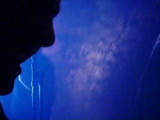 Victime idéale Live au Sentier des Halles Jena Lee 11/11/09