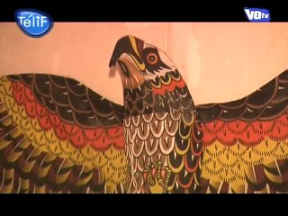 Cerf-Volant : Plus qu'une passion, un métier ! (Val d'Oise)