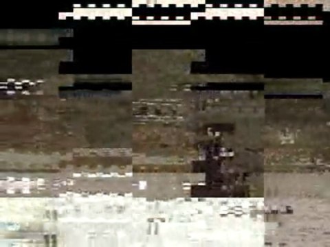 Ecurie du Nevez Poème du Lys