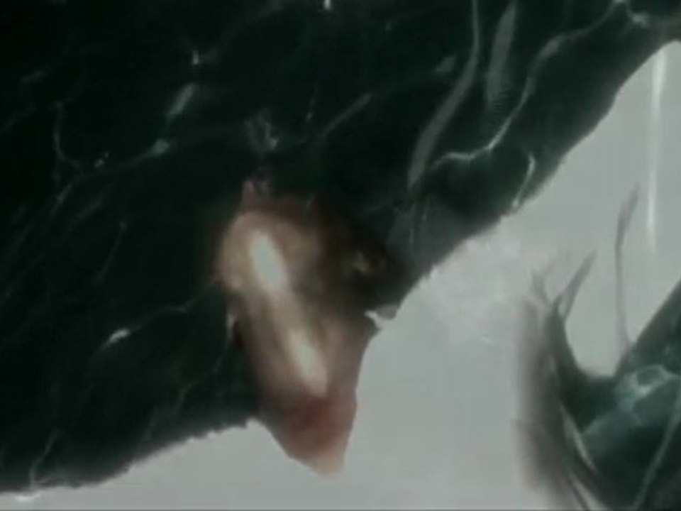 Dix Vagues