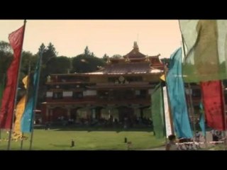 Mitgefühl,Weisheit und Humor - www.tao-cinema.de