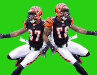 Right Brain Fantasy Report: Week 11 Picks (11/19/09)