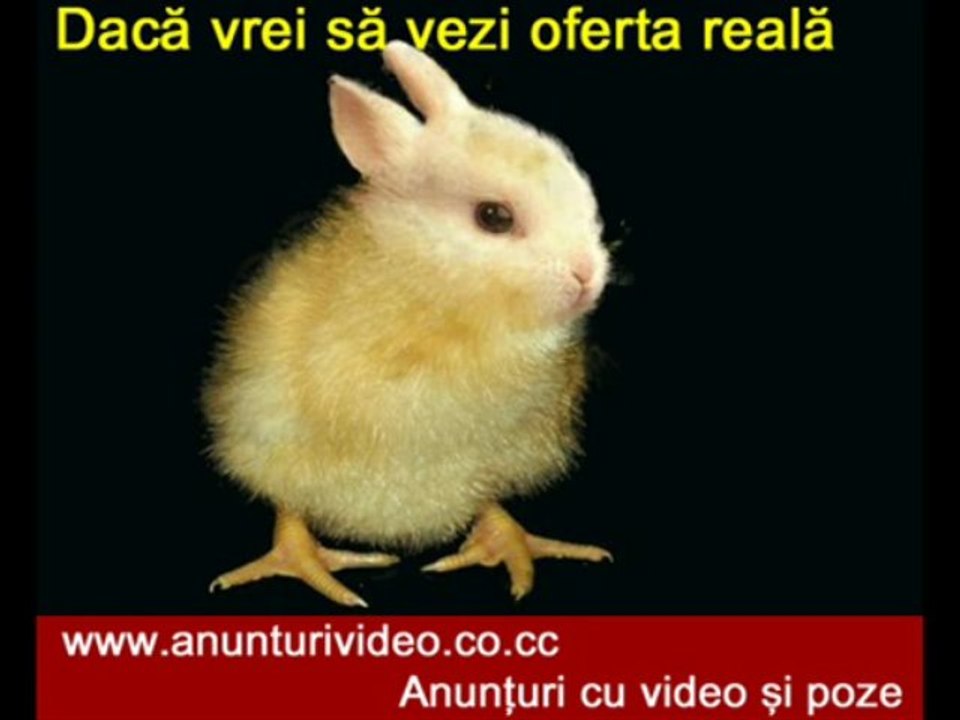 pui