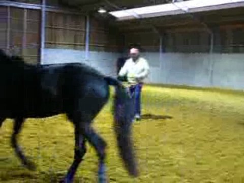 vidéo ulys cours ben 007