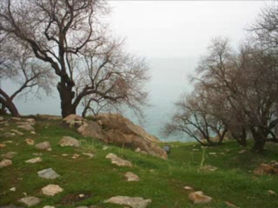 Sezen AKSU - Geri dön