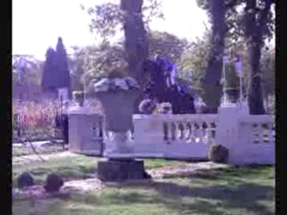 CCI**** de Pau