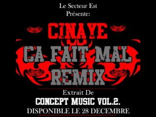 Cinaye- Ca Fait Mal. Extrait De Concept Music Vol.2. [2009]