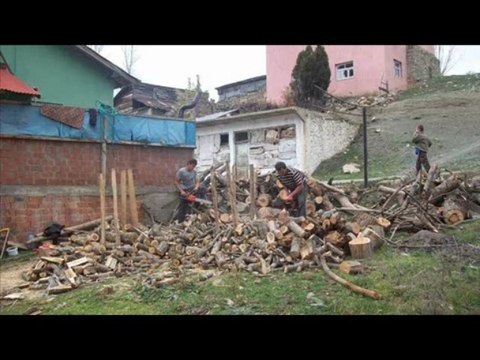 BALLICA KÖYÜ 2009 ELMA TOPLAMA VE ODUN HAZIRLAMA