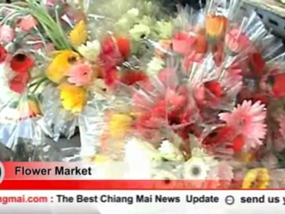 Chiang Mai News 26/10/09