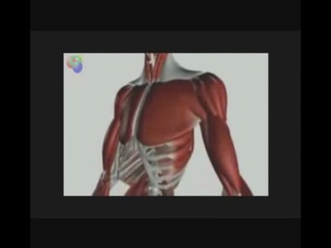 islam christianisme judaisme athées