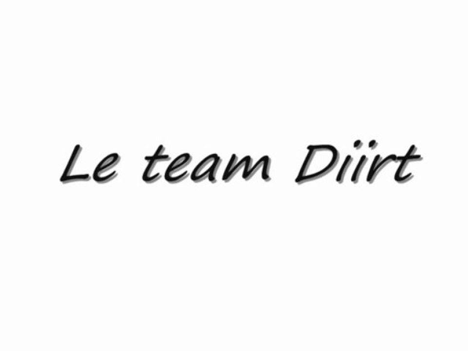 Team Diirt fin
