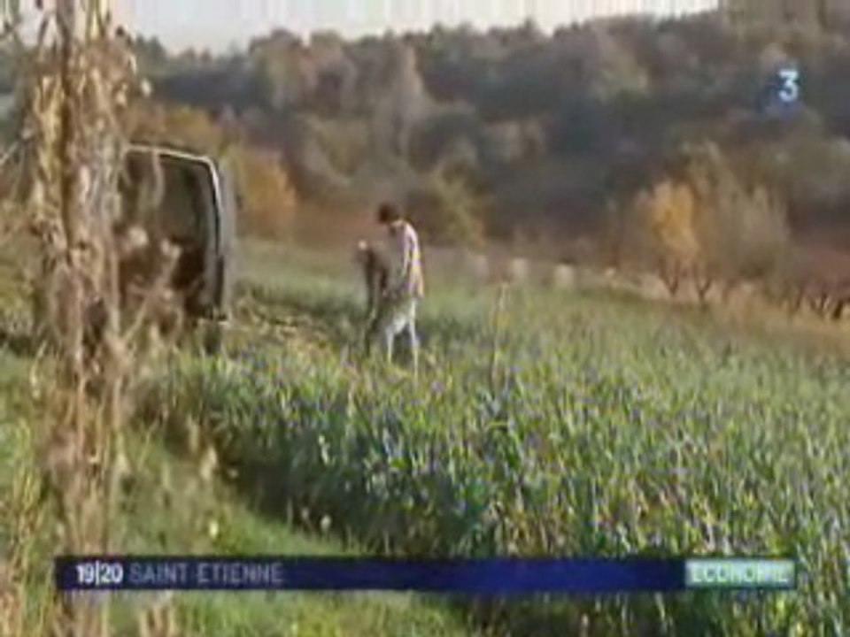AMAP de Fonsala (St Chamond - Loire)