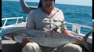 Mackerel And Tuna Fishing Trips NT
