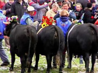 Sujet Quittez les hauteurs © La Vaka 2009