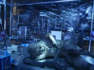 (2) V - Episode 1x04 It's Only the Beginning