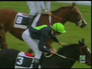 2006.05.21, nº 150 LZ (Primer Paso, 2a Deb, C) Cat Polly